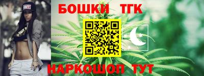 тгк Гатчина